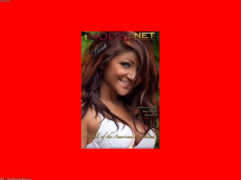 យុទ្ធសាស្ត្រសម្រាប់ការចំណេញយូរអង្វែង