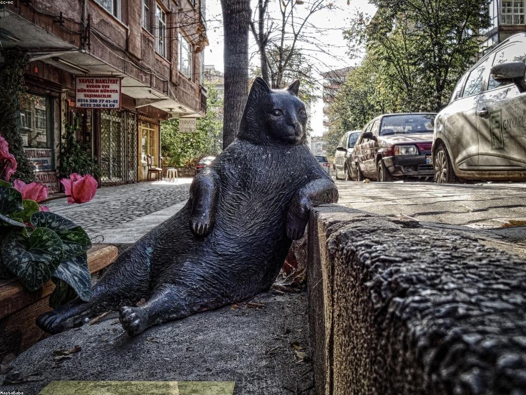 ការពិភាក្សាផ្សេងៗជុំវិញប្រធានបទនានា