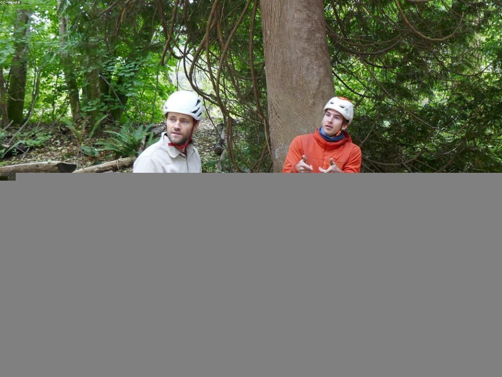 ការដឹកនាំក្នុងការអភិវឌ្ឍជំនាញ