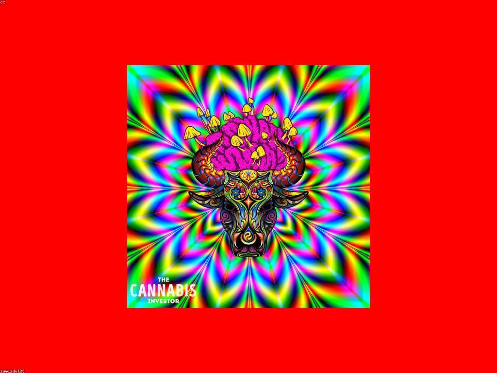 គន្លឹះសម្រាប់ការវិនិយោគឆាប់រហ័ស