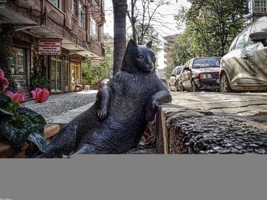 គន្លឹះសម្រាប់ការវិនិយោគឆាប់រហ័ស